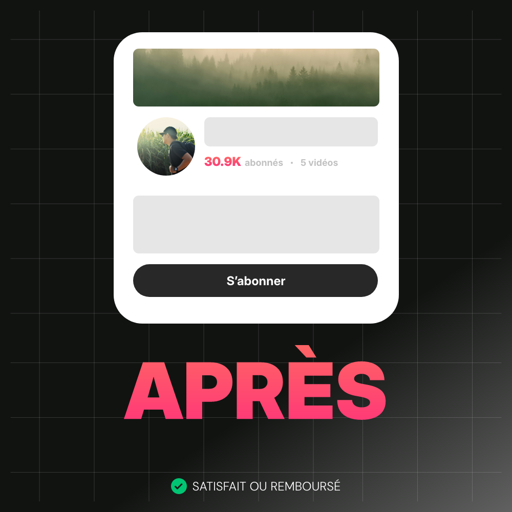Abonnés YouTube
