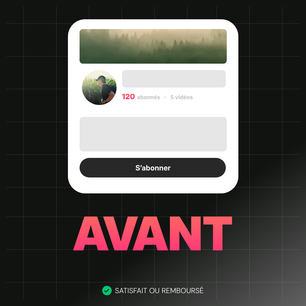 Abonnés YouTube